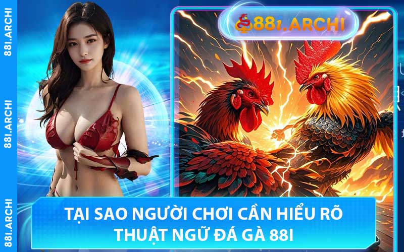 Tại Sao Người Chơi Cần Hiểu Rõ Thuật Ngữ Đá Gà 88I