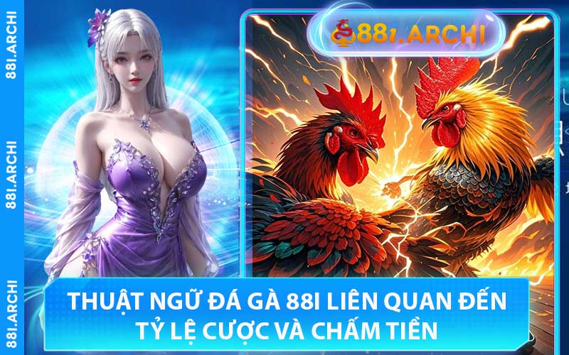 Thuật Ngữ Đá Gà 88I Liên Quan Đến Tỷ Lệ Cược và Chấm Tiền